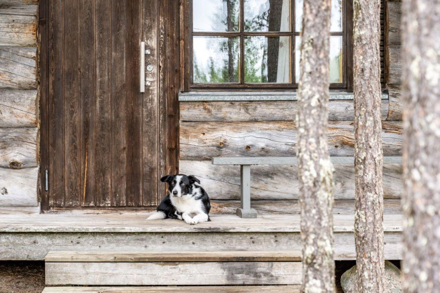 Holiday Village Himmerki Posio Buitenkant foto